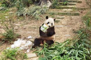 黄健翔：布雷默堪称没有逆足，主力脚是右脚但左后卫打的冠绝一时